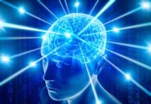 Ninja Assassin-Like Cells To Hunt Down Cancer In Brain