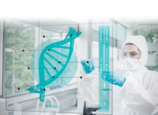 MSc Plant Breeding & Genetics Scientific Officer Post @ ICRISAT