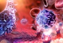 A New T Cell Therapy By British Biotech In The Pipeline