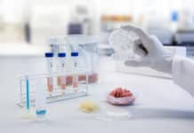 Freshers Job : Food Microbiologist Post Vacant @ TUV SUD – Attend Walk-In Interview Biosciences Senior Research Fellow