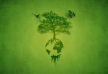 Eco Friendly Plastic from Sugar and Carbon Dioxide