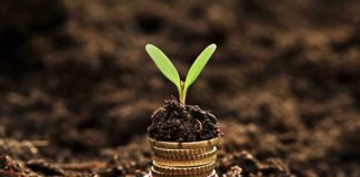 Bill & Melinda Gates Foundation Grant for Novel Production of Artemisinin