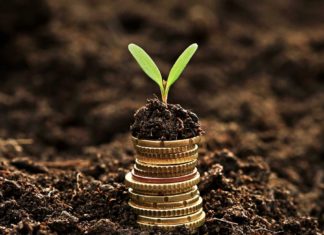 Bill & Melinda Gates Foundation Grant for Novel Production of Artemisinin