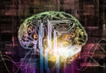 Understanding The Role of Brain Circuits In Vocalization