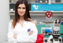 Harvard University – The Sarah and Daniel Hrdy Fellowship in Conservation Biology 2017