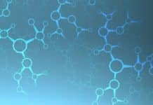 Life Science Freshers Job : Work in Molecular Medicine Division @ St. John’s Research Institute Biosciences Project Assistant Post Vacant @ WBUAFSCL