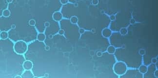 Biosciences Project Assistant Post Vacant @ WBUAFSCL