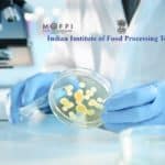 Govt Job @ IIFPT - Research Positions