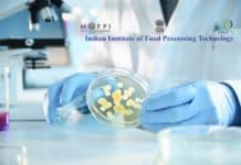 Associate Professor Vacancy in Microbio /Biotech / Food Processing @ IIFPT – Ministry of Food Processing Industries, Govt of India Govt Job @ IIFPT - Research Positions