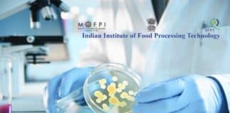 Govt Job @ IIFPT - Research Positions