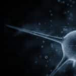 Viruses – Are they Alive ? Or Maybe Not ?