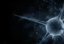 Viruses – Are they Alive ? Or Maybe Not ?