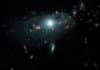 Wonder Mutation in Space ! Worm Grows Two Heads