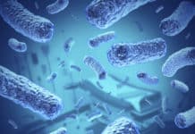 Vancomycin Now Is 25,000 Times Stronger Than Its Previous Counterparts Msc jobs @ IIT Delhi