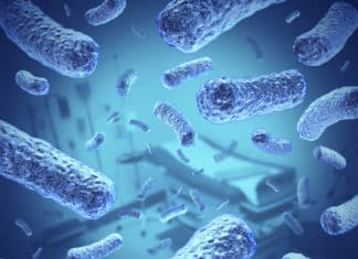 Vancomycin Now Is 25,000 Times Stronger Than Its Previous Counterparts Msc jobs @ IIT Delhi