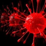 Work as JRF & Technical Assistant @ IISER Kolkata | Project on Membrane Trafficking BSc & MSc Biosciences/Life Sciences Project Assistant