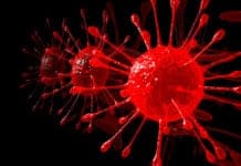 Work as JRF & Technical Assistant @ IISER Kolkata | Project on Membrane Trafficking BSc & MSc Biosciences/Life Sciences Project Assistant