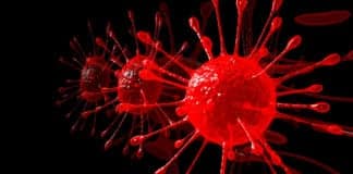 BSc & MSc Biosciences/Life Sciences Project Assistant