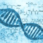 MSc Botany Project Assistant Posts