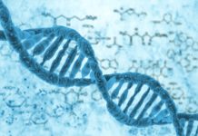 How Is All That DNA stuffed Into A Tiny Cell? MSc Botany Project Assistant Posts