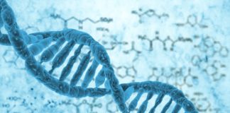 MSc Botany Project Assistant Posts