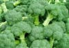 Eat Your Greens ! Broccoli Could Be a Weapon Against Diabetes