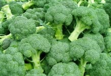 Eat Your Greens ! Broccoli Could Be a Weapon Against Diabetes