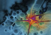 DNA mismatches can now be used to rev-up cancer fighting T-cells