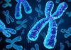Research Fellow @ AIIMS Patna | Project on Genetic Factors in Wilms Tumor