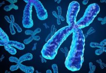 Research Fellow @ AIIMS Patna | Project on Genetic Factors in Wilms Tumor