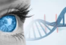 Gene Therapy Can Help Restore Eye Sight