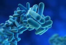 A Four Billion Year Old Enzyme Can Dupe Viruses