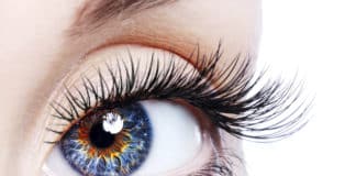 Nanowire Artificial Photoreceptors Restore Vision in Mice