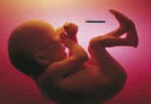 Immune-system.exe ………. Installing in the Womb ! Check it Out