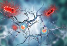 Biotech Start-Up Claims World’s First Stem Cell Treatment of Parkinson’s & Alzheimer’s Diseases