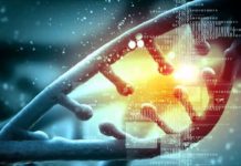 ‘Hail Mary’ Mechanism – Lifeline for Cells with Severely Damaged Genetic Material. Bioinformatics Job @ ICAR-IASRI