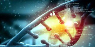Bioinformatics Job @ ICAR-IASRI