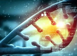 Bioinformatics Job @ ICAR-IASRI