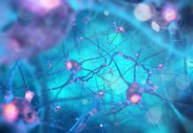 Transplating Inhibitory Interneurons Restores Damages In Alzheimer’s Brains DST Funded Biosciences Project