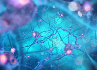 DST Funded Biosciences Project