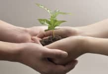 Merck And CRT Step Up Their Oncology Collaboration