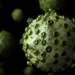 Exploring Lassa virus could lead the path for development of Lassa Vaccine Life Sciences Junior Research Fellow Post