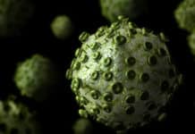 Life Sciences Junior Research Fellow Post