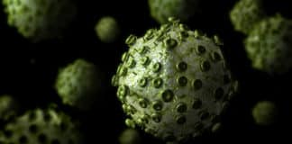 Life Sciences Junior Research Fellow Post