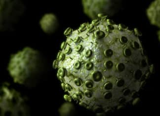 Life Sciences Junior Research Fellow Post