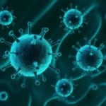 MSc Biosciences JRF Recruitment @ Central University of Gujarat