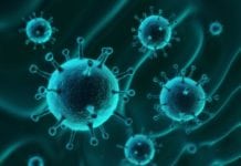 Research Shows Cancer Cells Work Amongst Themselves Increasing Drug Resistance MSc Biosciences JRF Recruitment @ Central University of Gujarat