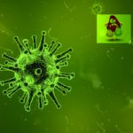 Are all Bacteria the bad guys?