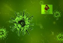 Are all Bacteria the bad guys?