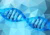 MSc/MTech Biotech & Biological Sciences Job @ Danaher Corporation